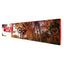 30 Ft RPL Fabric Pop Up Display - 89