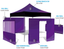 10ft Custom Printed Canopy Tent Window Walls